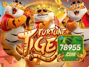 Guia install APK 78955 COM BR